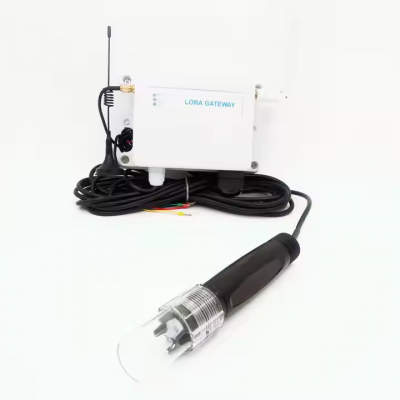 Testermeter-Professional Customizable Ph Water Meter 4-20mA 0-5V 0-10V RS485 Output Waterproof Grade IP68 for Environmental Sensors