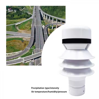 Testermeter-RS485 Lora Lowan 4G Gprs Wireless Radar Precipitation Sensor Weather Station Monitor Rain Snow Hail Quantity and Intensity Meter