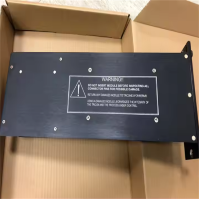 Tstermeter-Triconex Power Supply 230 VAC- 175-Watt Module 8312