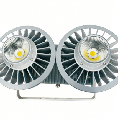 Testermeter-BC9309S LED IP66 480W explosion proof spotlight with two light source